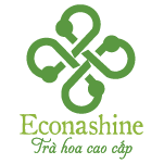 www.econashine.com